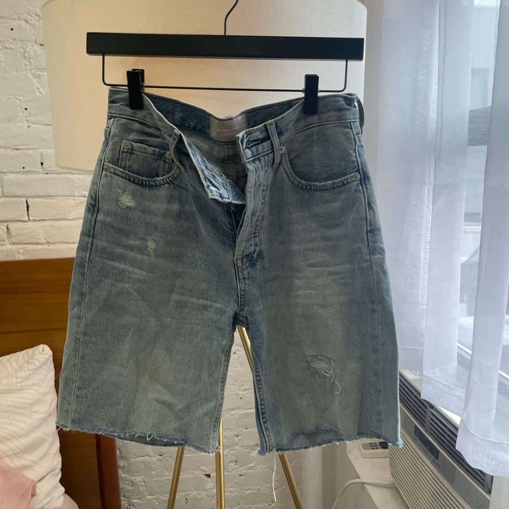 Everlane Cheeky Long Short